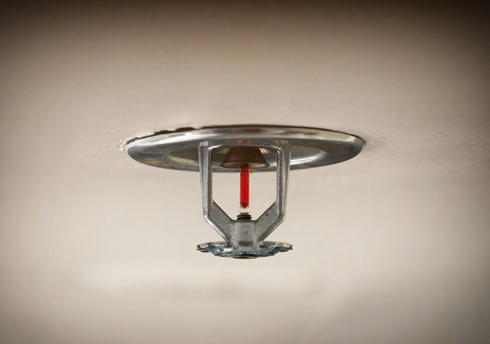 Chrome pendent fire sprinkler with red glass bulb and escutcheon on a ceiling