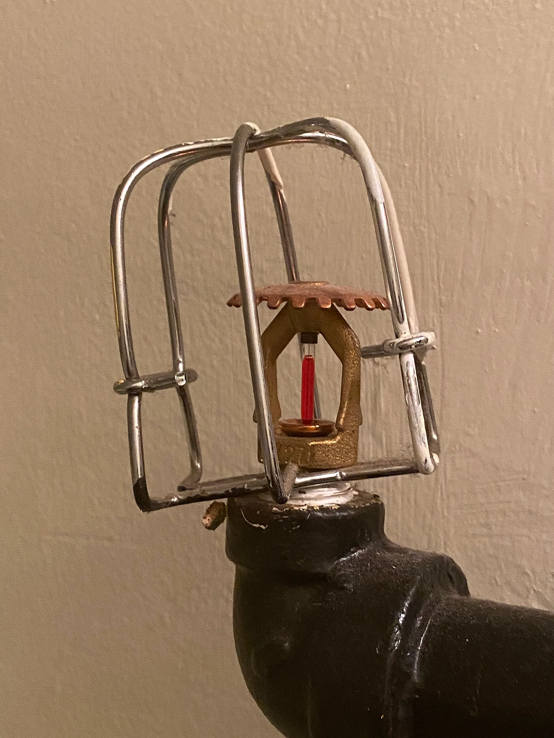 Upright fire sprinkler head fitted with a wire protective guard on black steel pipe